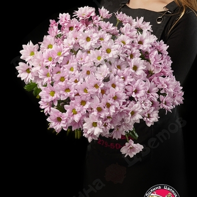 Хризантема кустовая