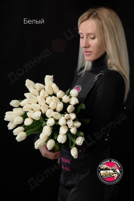 Тюльпан Белый