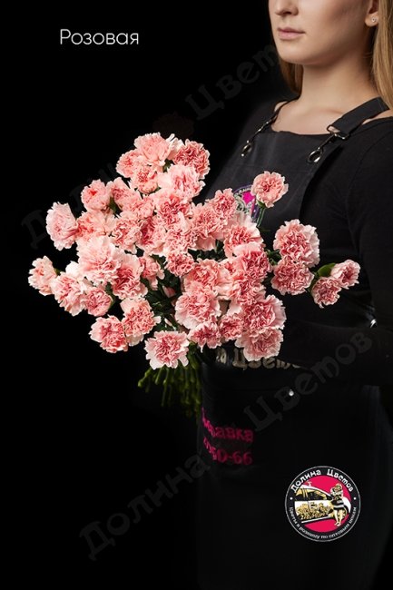 Гвоздика розовая.