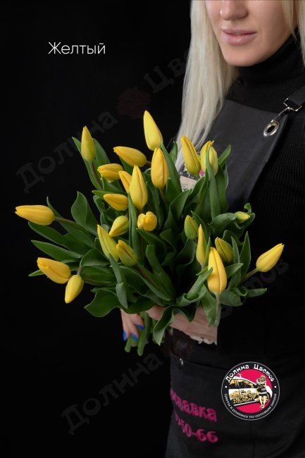 Тюльпан Желтый