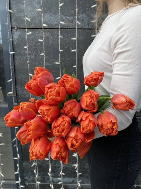 Тюльпан Оранжевый пионовидный