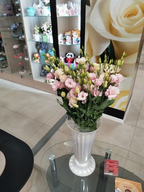 Эустома нежно-розовая