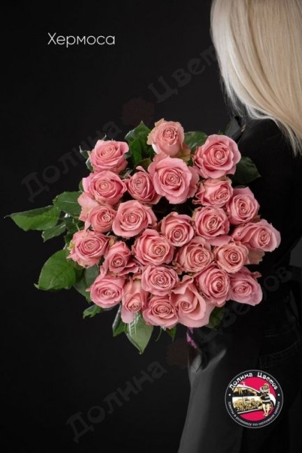 Розы Хермоса  (высота  50см)