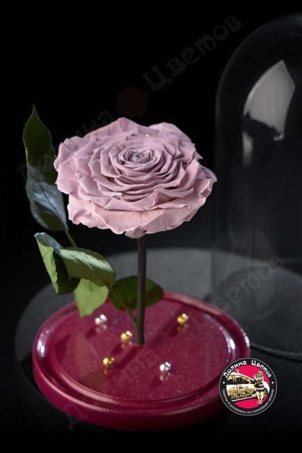 Роза в колбе сиреневая ПРЕМИУМ