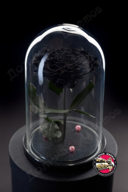 Роза в колбе черная ПРЕМИУМ