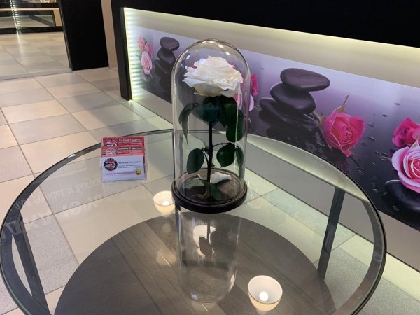 Роза в колбе белая ПРЕМИУМ