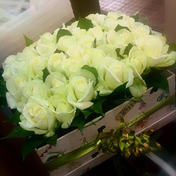 41 Роза.Высота 40см. Коробка квадратная