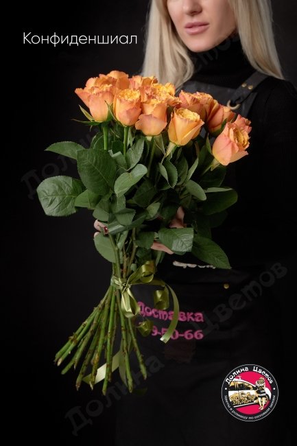 Розы Конфиденшиал  (высота  50см)
