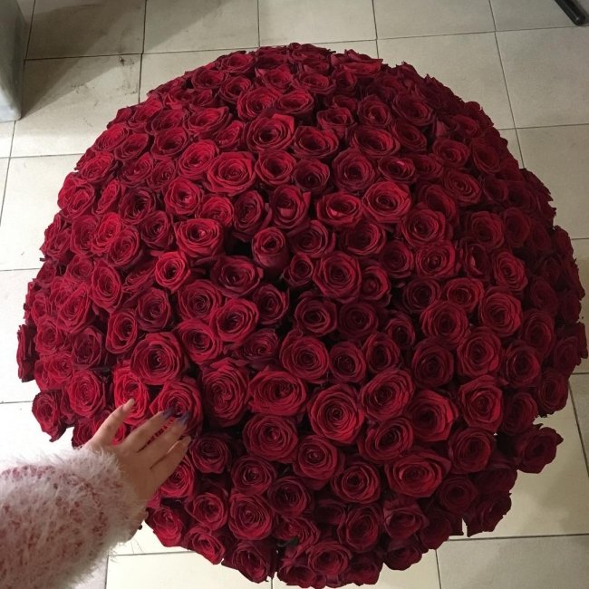 Роза Ред Наоми (красная). Букет из 201 розы. Высота 70 см
