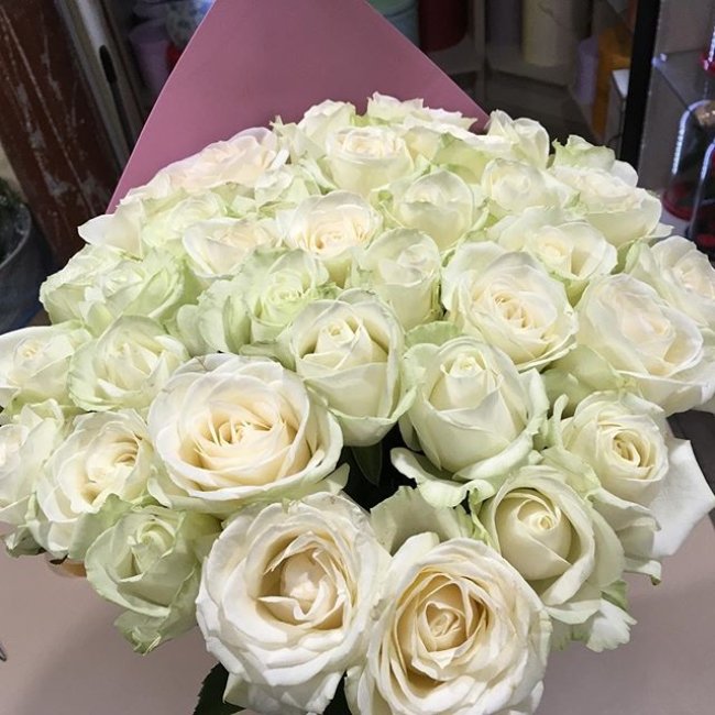 Роза Аваланж (белая). Букет из 35 роз. Высота 80 см