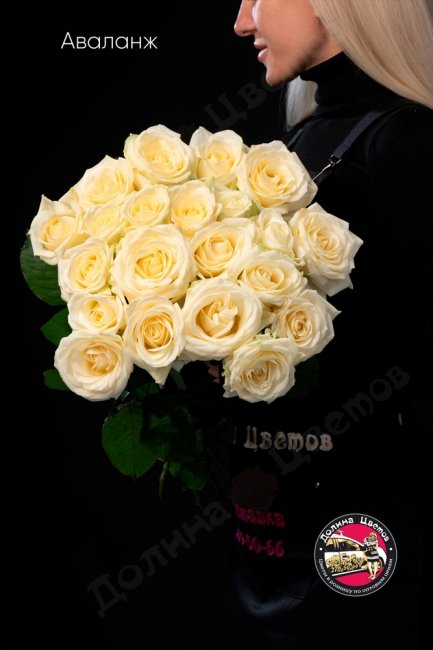 Букет из Розы Аваланж  (высота  40см)