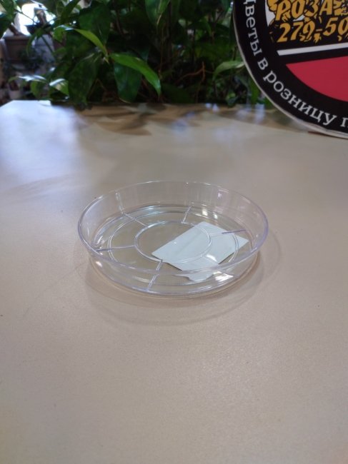 Поддон d-120 мм, прозрачный