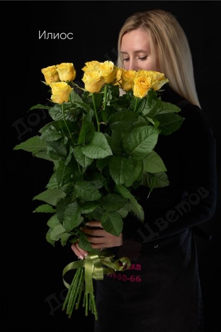 Букет из Розы Илиос  (высота  50см)