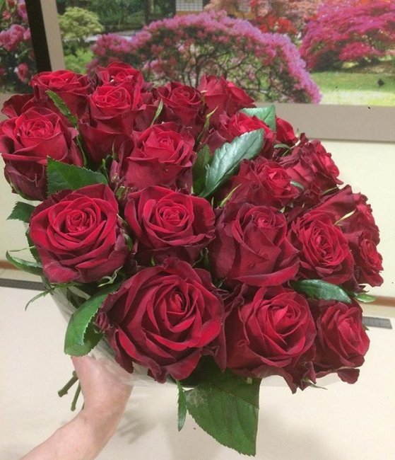 Роза Кон Аморе. Букет из 101 розы. Высота 60 см