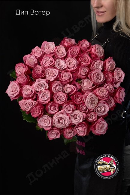 Букет из Розы Дип Вотер  (высота  70см)