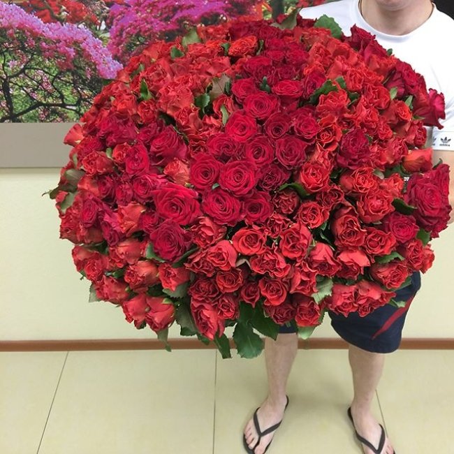 Роза Элторо (красная). Букет из 201 розы. Высота 50 см