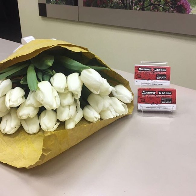 Букет из 301 тюльпана. белый