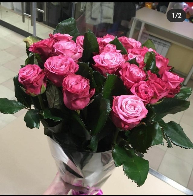 Роза Дип Вотер. Букет из 35 роз. Высота 40 см