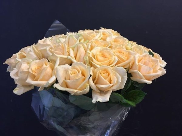 Роза Пич-Аваланж (персиковая). Букет из 51 розы. Высота 80 см