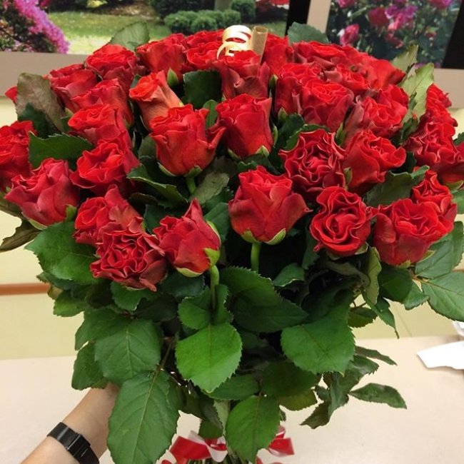 Роза Элторо (красная). Букет из 41 розы. Высота 50 см