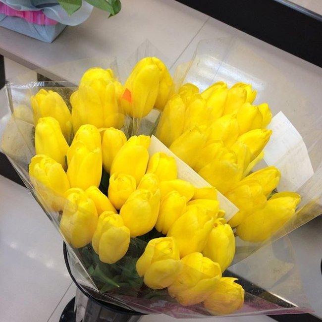 Букет из 301 тюльпана. желтый
