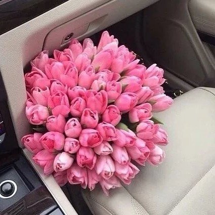 Букет из 51 тюльпана. нежно-розовый