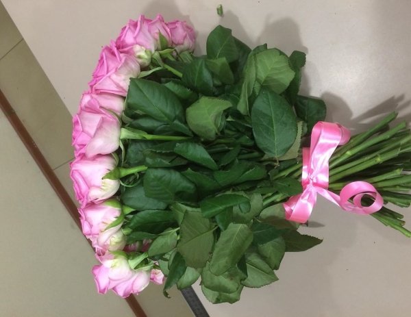 Роза Аква (розовая). Букет из 51 розы. Высота 50 см