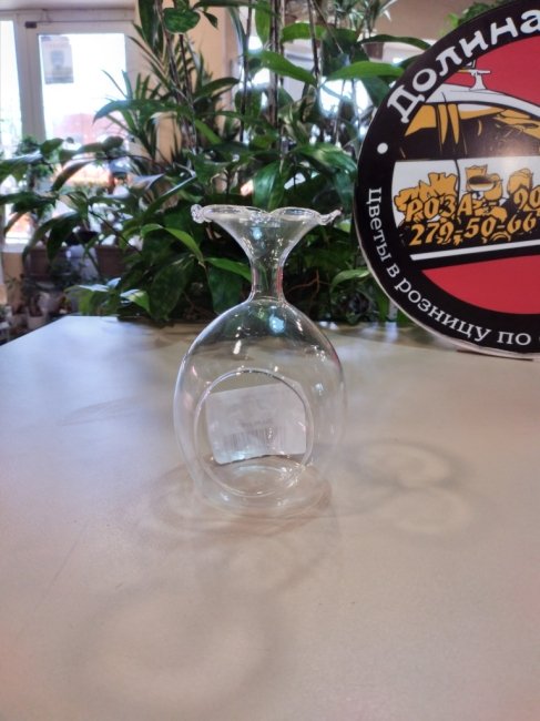 Флорариум «Горлышко волной» 8,5*8,5*13 см