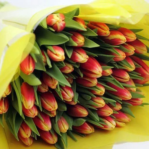 Букет из 51 тюльпана. красно-желтый