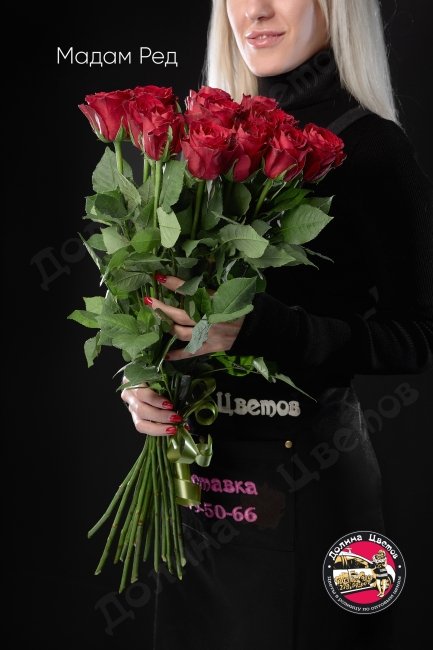 Розы Мадам Ред  (высота  60см)