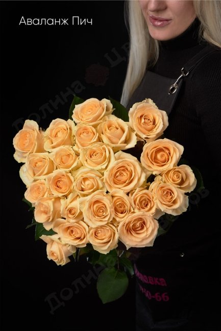 Букет из Розы Аваланж Пич  (высота  70см)