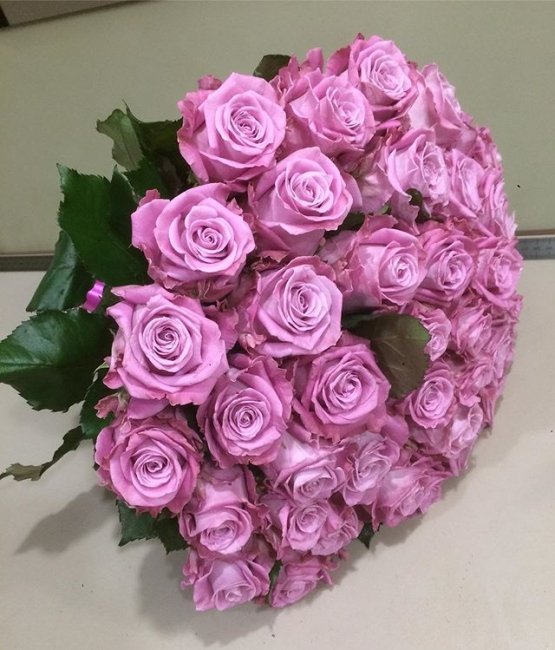 Роза Маритим. Букет из 41 розы. Высота 40 см