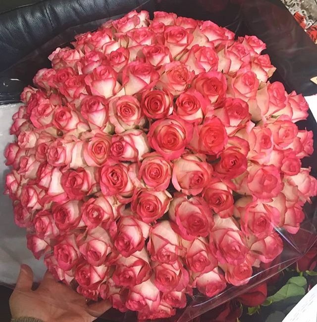 Роза Джумилия. Букет из 201 розы. Высота 70 см