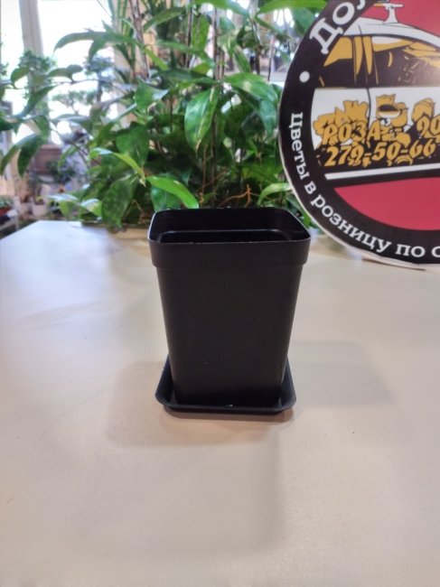 Горшки для цветов. Горшок цвет. С поддоном 8*8*10 см, микс