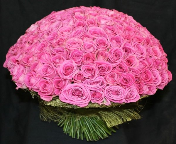 Роза Ревиваль (розовая). Букет из 201 розы. Высота 60 см