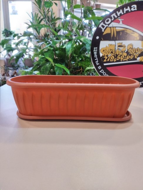 Горшок цвет. «Фелиция», цвет терракотовый