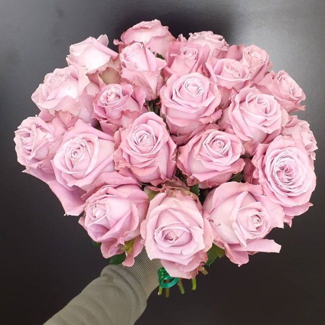 Роза Маритим. Букет из 21 розы. Высота 70 см