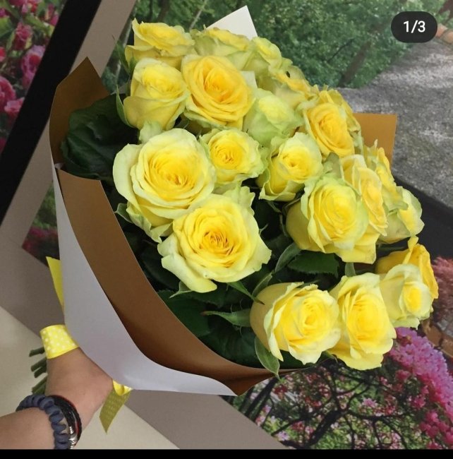 Роза Илиос (желтая). Букет из 35 роз. Высота 70 см