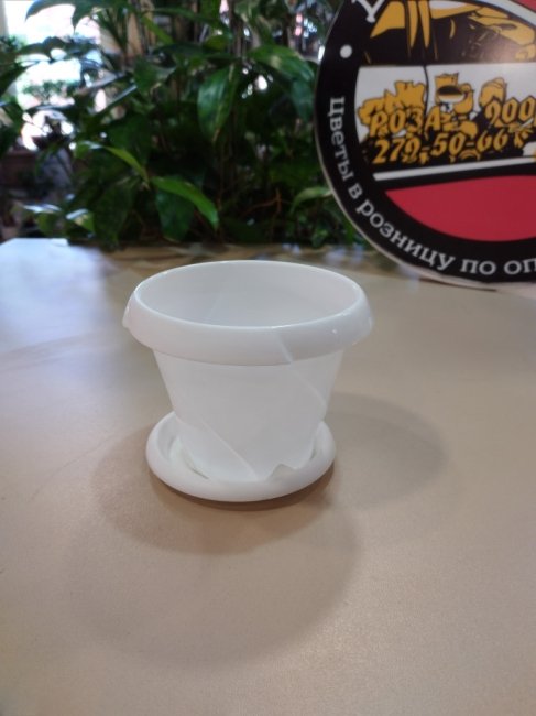 Горшки для цветов. Горшок д/ц Флориана 0,3л