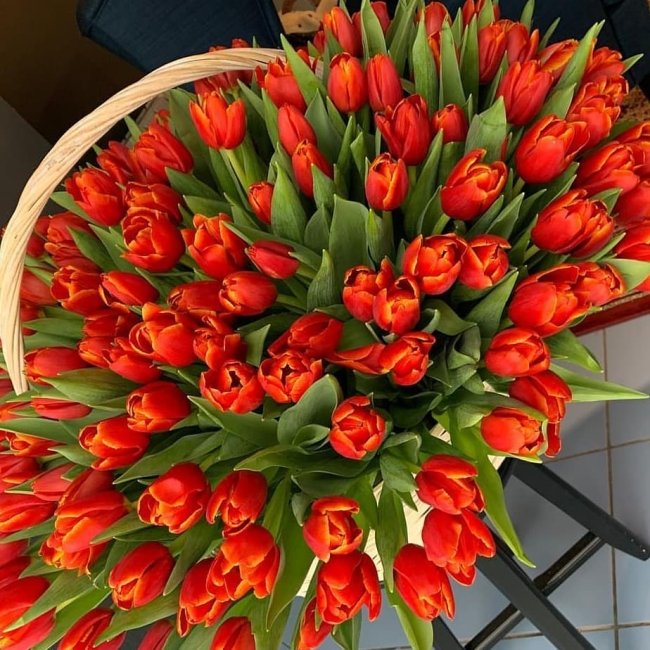 Букет из 101 тюльпана. красно-желтый