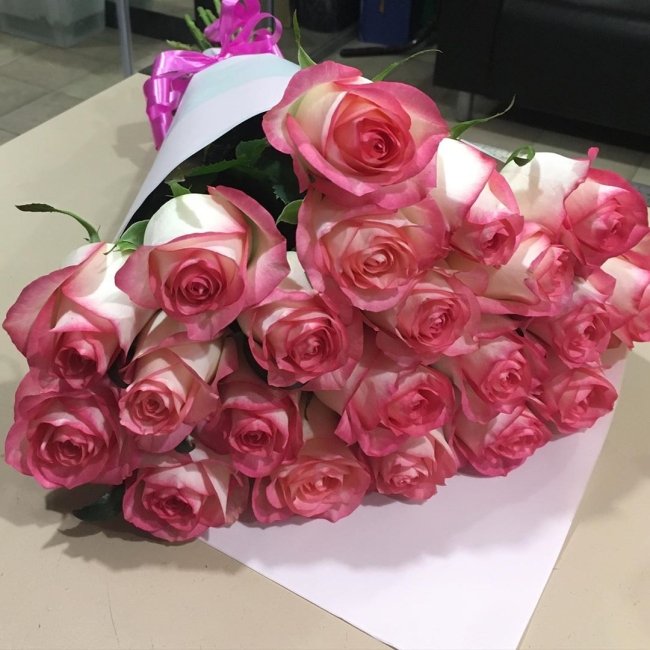 Роза Джумилия. Букет из 25 роз. Высота 60 см