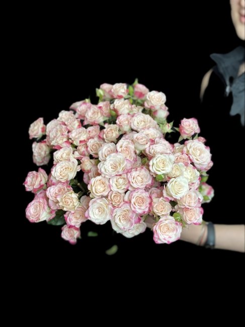 Розы Спрей микс бело розовая  (высота  60см)